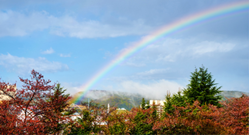 &ldquo;기후변화 대응과 지속가능성이 교육의 미래&rdquo;&hellip; 새 교육전략 천명한 영국 교육부