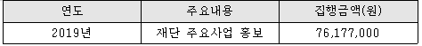 2019년 광고비 집행현황.png
